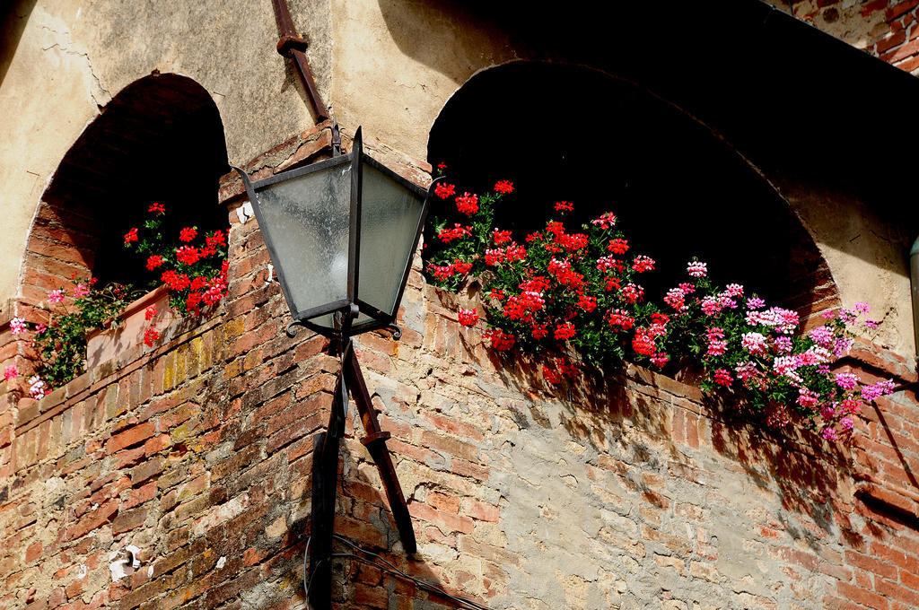 Agriturismo Castello Saltemnano Buonconvento Eksteriør billede