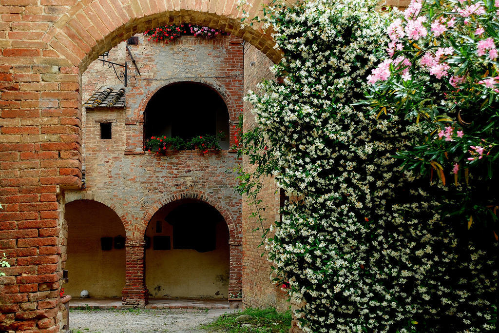 Agriturismo Castello Saltemnano Buonconvento Eksteriør billede
