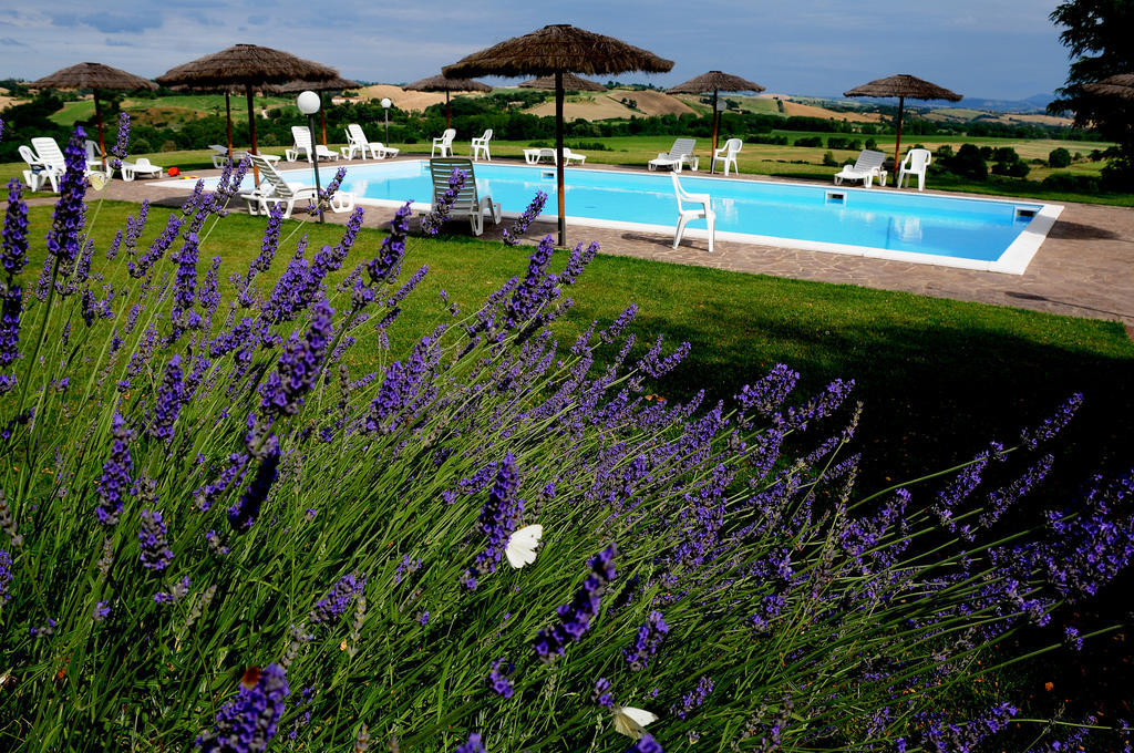 Agriturismo Castello Saltemnano Buonconvento Eksteriør billede