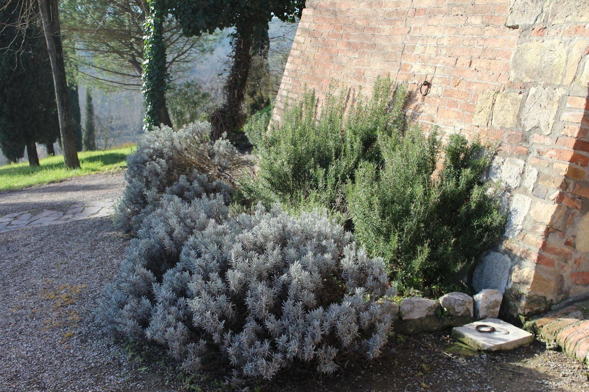 Agriturismo Castello Saltemnano Buonconvento Eksteriør billede